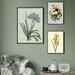 ART PRINT - Yellow iris - CHOOSE SIZE
