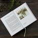 BOOK: HERBAL TEA - from nature and garden (danish text) - OUT OF STOCK