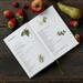BOOK: Økologisk frugt i haven