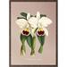 Orchid, Cattleya trianae - KONSTAFFISCH - VÄLJ STORLEK