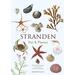 BOKA: Stranden - Djur och växter (dansk text)