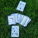 PLAYING CARDS - The world of insects - NEW