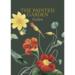 THE PAINTED GARDEN - GOLDEN - 8 KORT - TIL FORUDBESTILLING (kommer i slutningen af august)