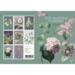 THE PAINTED GARDEN - VIOLET - 8 KORT - TIL FORUDBESTILLING (kommer i slutningen af august)
