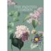 THE PAINTED GARDEN - VIOLET - 8 KORT - TIL FORUDBESTILLING (kommer i slutningen af august)