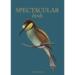 SPECTACULAR BIRDS - 8 KORT - TIL FORUDBESTILLING (kommer i slutningen af august)