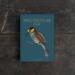 SPECTACULAR BIRDS - 8 KORT - TIL FORUDBESTILLING (kommer i slutningen af august)