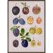 PLUMS - KUNSTPRINT - VÆLG STØRRELSE