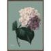 HYDRANGEA - AFFICHE D'ART - CHOISISSEZ LA TAILLE