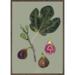 GREEN FIG - KUNSTPRINT - VÆLG STØRRELSE