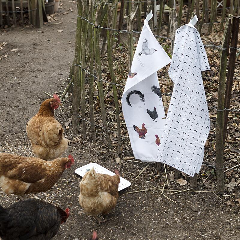 Teatowels with chickens, made in Europe of organic cotton