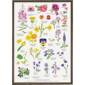 EDIBLE FLOWERS (SPISELIGE BLOMSTER) - POSTER A2