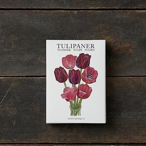 TULIPS - 8 cards