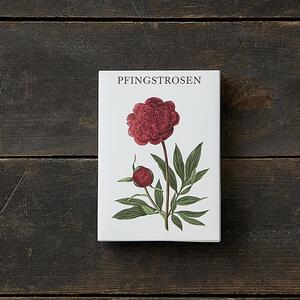 PFINGSTROSEN - 8 kort (tyska)