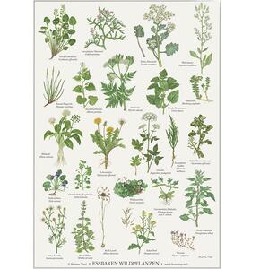 Plantes sauvages comestibles - Poster A2 (allemand)