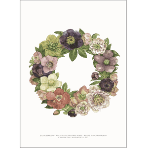 ART PRINT A3 - Wreath of Christmas roses