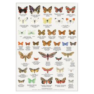 PRINT A4 - BUTTERFLIES - OUT OF STOCK