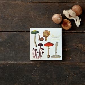 MUSHROOMS - Square card folder