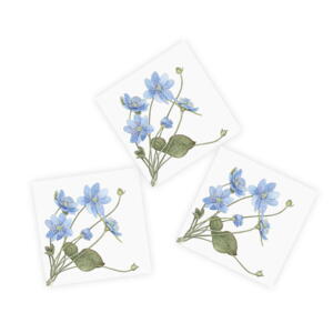 NAPKINS - Blue anemone - 20 pcs in a package