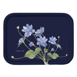 TABLETT 20x27 - Blaue Anemone (Neues Design)