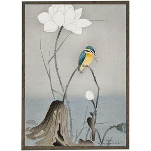 Kingfisher - ART PRINT - CHOISISSEZ LA TAILLE