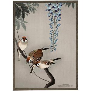Wood Sparrow - ART PRINT - CHOISISSEZ LA TAILLE