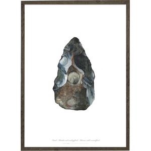 Flint ax with fossil - ART PRINT - CHOOSE SIZE