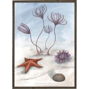 Sea lilies - ART PRINT - CHOOSE SIZE