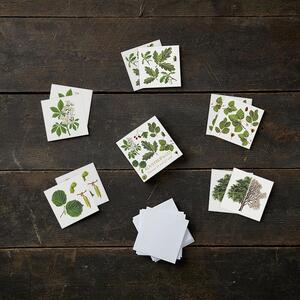 SQUARE MINI CARDS - Leaves - 8.5 x 8.5 cm - NOT AVAILABLE