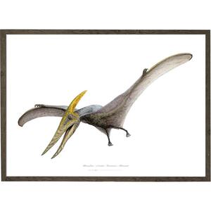 Pteranodon - KONSTAFFISCH - VÄLJ STORLEK