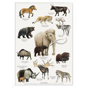 Print A4 - Ice Age Animals