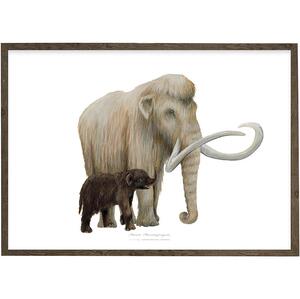 ART PRINT - Wooly mammoth - CHOOSE SIZE