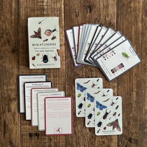 CARD GAME - The world of insects