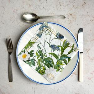 SERVIETTES - Blue Flower Garden JL