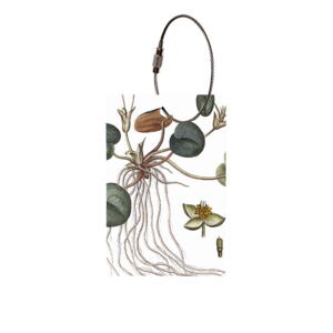 LUGGAGE TAG - The Flora Danica Atlas - Frogbit - FOR PRE-ORDER (Arrives in mid-March)