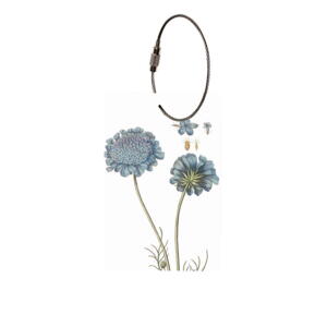 LUGGAGE TAG - The Flora Danica Atlas - Scabiosa - FOR PRE-ORDER (Arrives in mid-March)