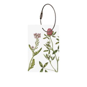 LUGGAGE TAG - The Flora Danica Atlas - European searocket and red Clover