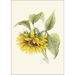 Sonnenblume - A5 Einzelkarte