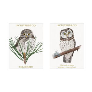 MINICARDS AUTUMN - Boreal owl -  FOR PRE-ORDER (arriving at the end of September)