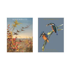 MINICARDS AUTUMN - Kingfisher - FOR PRE-ORDER (arriving at the end of September)