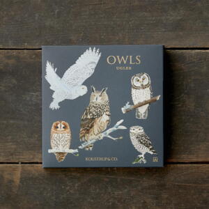 OWLS - SQAURE CARDS