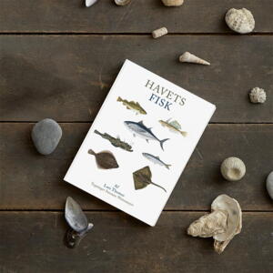 BOOK: Fish of the Sea (danish text) - FOR PRE-ORDER (releases March 15, 2024)