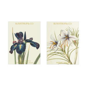 Minikort Forår – Iris