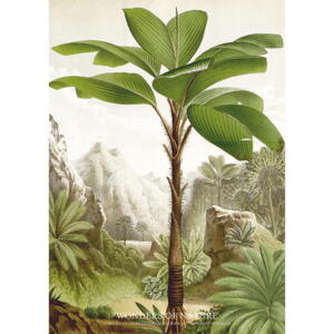 Palm trä - A5-kort