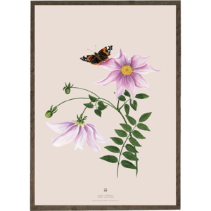 DAHLIA IMPERIALIS - KUNSTDRUCK - GRÖSSE WÄHLEN