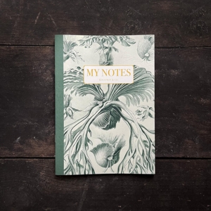 Muistivihko - Haeckel 1