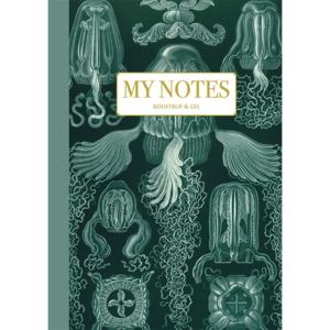 Carnet de notes - Haeckel 3