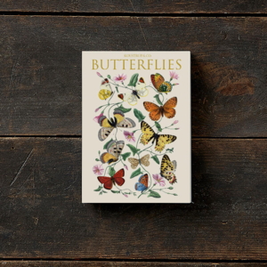 BUTTERFLIES - 8 cards