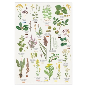 PRINT A4 - Plant dyeing - FOR PRE-ORDER (Arrives 1 February 2026)