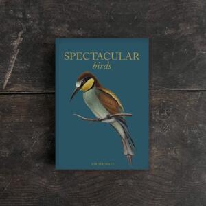 SPECTACULAR BIRDS - 8 KORT - TIL FORUDBESTILLING (kommer i slutningen af august)